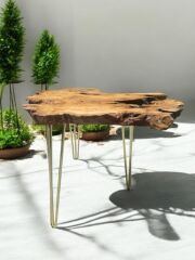 Zeytin Ağacı Doğal Ahşap Kütük Sehpa 82 Cm çap 54 Cm Yüksek - Gold Firkete Ayak - 10 Mm Cam Dahil