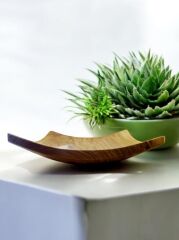 Zeytin Ağacı Tek Parça El Yapımı Doğal Ahşap Dekoratif Köşeli Tabak 20 X 20 Cm