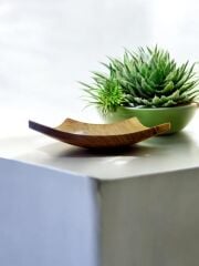 Zeytin Ağacı Tek Parça El Yapımı Doğal Ahşap Dekoratif Köşeli Tabak 20 X 20 Cm